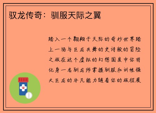 驭龙传奇：驯服天际之翼